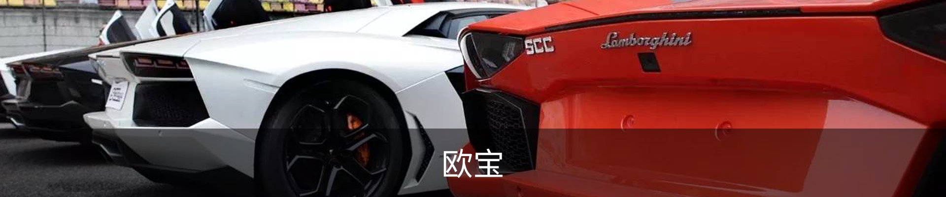 欧宝体育中文官方网站